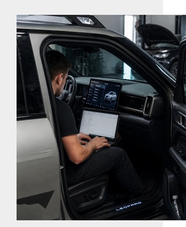 Русификация BYD Leopard 3 в Екатеринбурге по цене от 20396 р. | ФастМобиль-Ктр